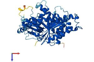 TUBG1 Protein (AA 1-451) (His tag)