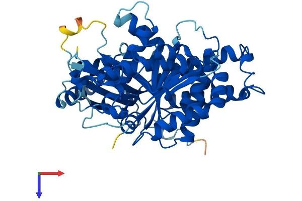TUBG1 Protein (AA 1-451) (His tag)