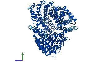 Protein Structure (PS) image for Karyopherin (Importin) beta 1 (KPNB1) (AA 1-876) protein (His tag) (ABIN7563511)