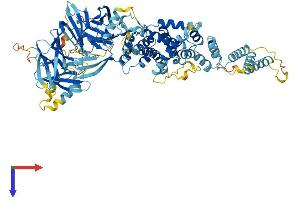GSAP Protein (AA 1-858) (His tag)
