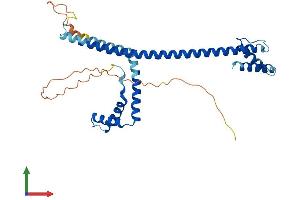 Protein Structure (PS) image for High Mobility Group 20B (HMG20B) (AA 1-317) protein (His tag) (ABIN7548365)