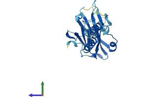 AlphaFold protein structure predicition of Mouse Recombinant Hikeshi Protein, UniprotID Q9DD02
