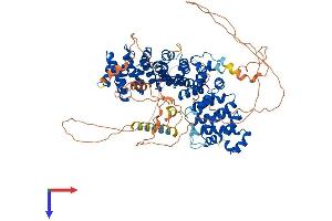 Plakophilin 3 Protein (PKP3) (AA 1-797) (His tag)