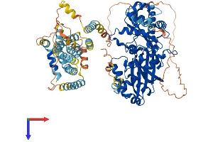 HMGCR Protein (AA 1-887) (His tag)