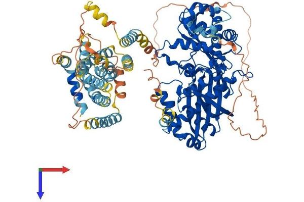 HMGCR Protein (AA 1-887) (His tag)