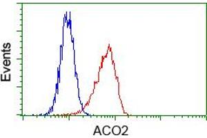 Image no. 3 for anti-Aconitase 2, Mitochondrial (ACO2) antibody (ABIN1496410) (ACO2 Antikörper)