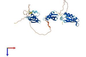TARBP2 Protein (AA 1-366) (His tag)
