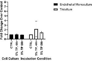 CLDN3 protein expression following a 4- or 6-hour incubation with 5% plasma from severely injured patients. (Claudin 3 ELISA Kit)