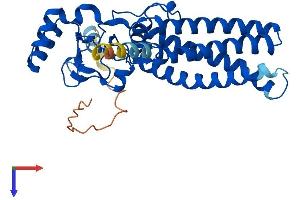 ZDHHC15 Protein (AA 1-337) (His tag)