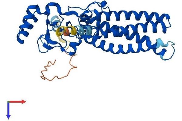 ZDHHC15 Protein (AA 1-337) (His tag)