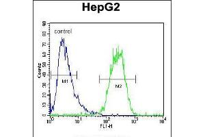 Flow cytometric analysis of HepG2 cells (right histogram) compared to a negative control cell (left histogram). (SEC13 Antikörper  (AA 72-100))