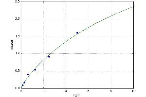 Ectonucleotide Pyrophosphatase/phosphodiesterase 1 (ENPP1) ELISA Kit