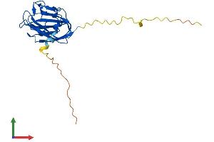 AlphaFold protein structure predicition of Human Recombinant PITHD1 Protein, UniprotID Q9GZP4