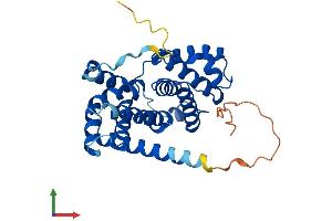 Protein Structure (PS) image for Cyclin D3 (CCND3) (AA 1-292) protein (His tag) (ABIN7553209)