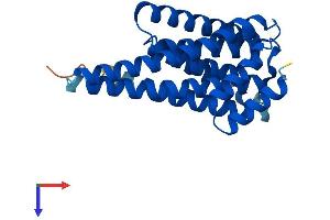14-3-3 gamma Protein (YWHAG1) (AA 1-247) (His tag)