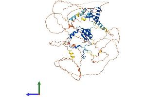 Protein Structure (PS) image for DBF4 Homolog (DBF4) (AA 1-674) protein (His tag) (ABIN7553621)