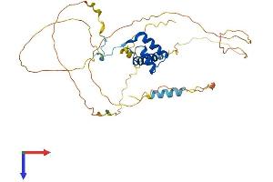 HOXB2 Protein (AA 1-354) (His tag)