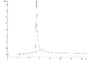 Size-exclusion chromatography-High Pressure Liquid Chromatography (SEC-HPLC) image for Transforming Growth Factor, beta 1 (TGFB1) (AA 30-278) protein (His-Avi Tag,Biotin) (ABIN7275129)