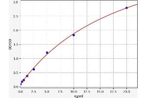 Typical standard curve (IRF3 ELISA Kit)