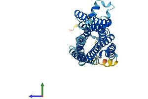 Protein Structure (PS) image for Trace Amine Associated Receptor 5 (TAAR5) (AA 1-337) protein (His tag) (ABIN7557502)
