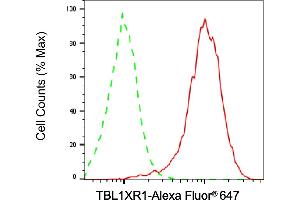 Flow cytometric analysis of TBL1XR1 expression in HepG2 cells using TBL1XR1 antibody (ABIN7800597), 1:2,000). (TBL1XR1 Antikörper)