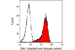 Flow Cytometry (FACS) image for anti-Zinc Finger E-Box Binding Homeobox 1 (ZEB1) (AA 750-800) antibody (ABIN7455173) (Rekombinanter ZEB1 Antikörper  (AA 750-800))