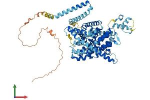 AlphaFold protein structure predicition of Human Recombinant SLC28A1 Protein, UniprotID O00337 (SLC28A1 Protein (AA 1-649) (His tag))