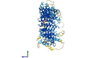 Protein Structure (PS) image for Chromosome 7 Open Reading Frame 27 (C7orf27) (AA 1-821) protein (His tag) (ABIN7552679)