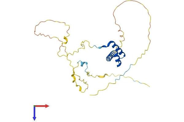 HHEX Protein (AA 1-270) (His tag)