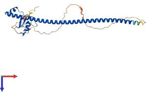 CCNB1IP1 Protein (AA 1-276) (His tag)