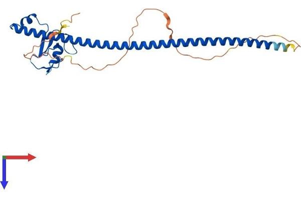CCNB1IP1 Protein (AA 1-276) (His tag)