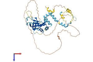 ACD Protein (AA 1-416) (His tag)