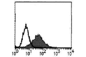 Flow Cytometry (FACS) image for anti-Fas Ligand (TNF Superfamily, Member 6) (FASL) (AA 132-146) antibody (ABIN1105951)