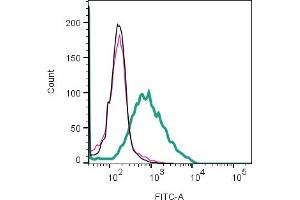 Cell surface detection of LPAR3 by indirect flow cytometry in live intact human  megakaryoblast leukemia cell line: + goat-anti-rabbit-FITC. (LPAR3 Antikörper  (Extracellular))