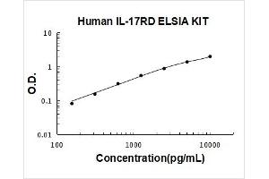 Typical Standard Curve