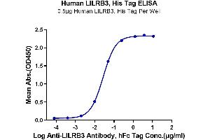 Immobilized Human LILRB3, His Tag at 5 μg/mL (100 μL/well) on the plate. (LILRB3 Protein (AA 24-443) (His-Avi Tag))