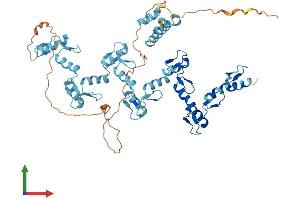 Protein Structure (PS) image for Zinc Finger Protein 250 (ZNF250) (AA 1-560) protein (His tag) (ABIN7545452)