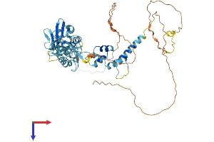 FBXO7 Protein (AA 1-523) (His tag)