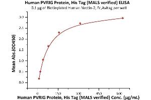 Immobilized Biotinylated Human Nectin-2, Fc,Avitag (ABIN5526672,ABIN5526673) at 1 μg/mL (100 μL/well) on streptavidin  precoated (0.