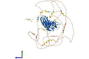 AlphaFold protein structure predicition of Mouse Recombinant Sgip1 Protein, UniprotID Q8VD37
