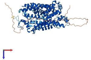 SLC6A4 Protein (AA 1-630) (His tag)