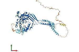 Protein Structure (PS) image for Sodium Channel, Nonvoltage-Gated 1, gamma (SCNN1G) (AA 1-655) protein (His tag) (ABIN7565213)