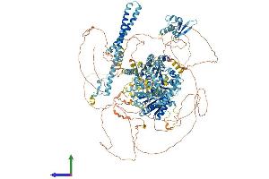 Protein Structure (PS) image for Excision Repair Cross-Complementing Rodent Repair Deficiency, Complementation Group 6 (ERCC6) (AA 1-1493) protein (His tag) (ABIN7553807)