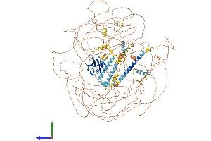 AlphaFold protein structure predicition of Mouse Recombinant Cep170 Protein, UniprotID Q6A065