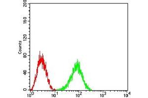 Flow cytometric analysis of HL-60 cells using CD148 mouse mAb (green) and negative control (red). (PTPRJ Antikörper  (AA 36-210))