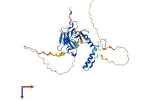 p53 Protein (AA 1-393) (His tag)