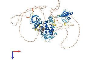 ARHGAP9 Protein (AA 1-750) (His tag)