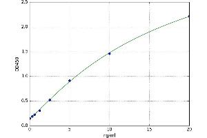 A typical standard curve