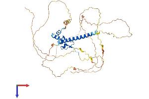 DMRTA1 Protein (AA 1-490) (His tag)