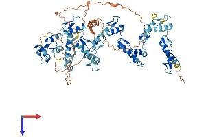 ZNF169 Protein (AA 1-603) (His tag)